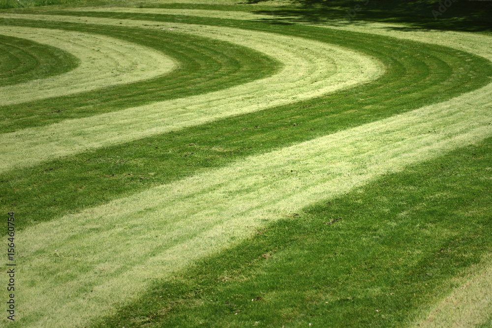 Beautiful fresh mown grass pattern at sunny day.
