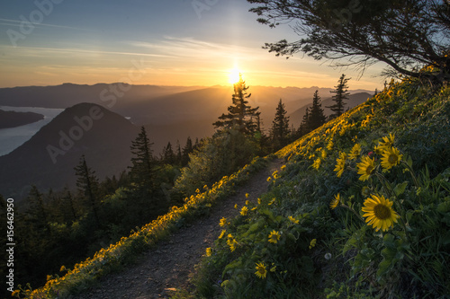 Wall Mural Columbia River Gorge