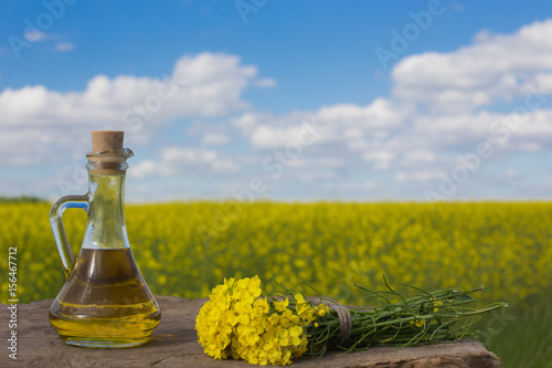 rapeseed oil  canola  in rape field