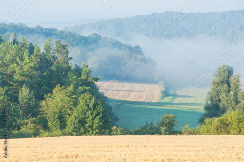 Atumnal stubble field with trees in the background  photo