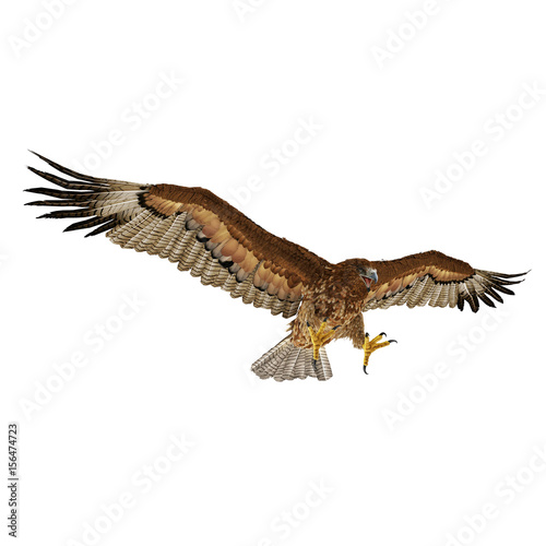 Gurney Eagle on white. 3D illustration