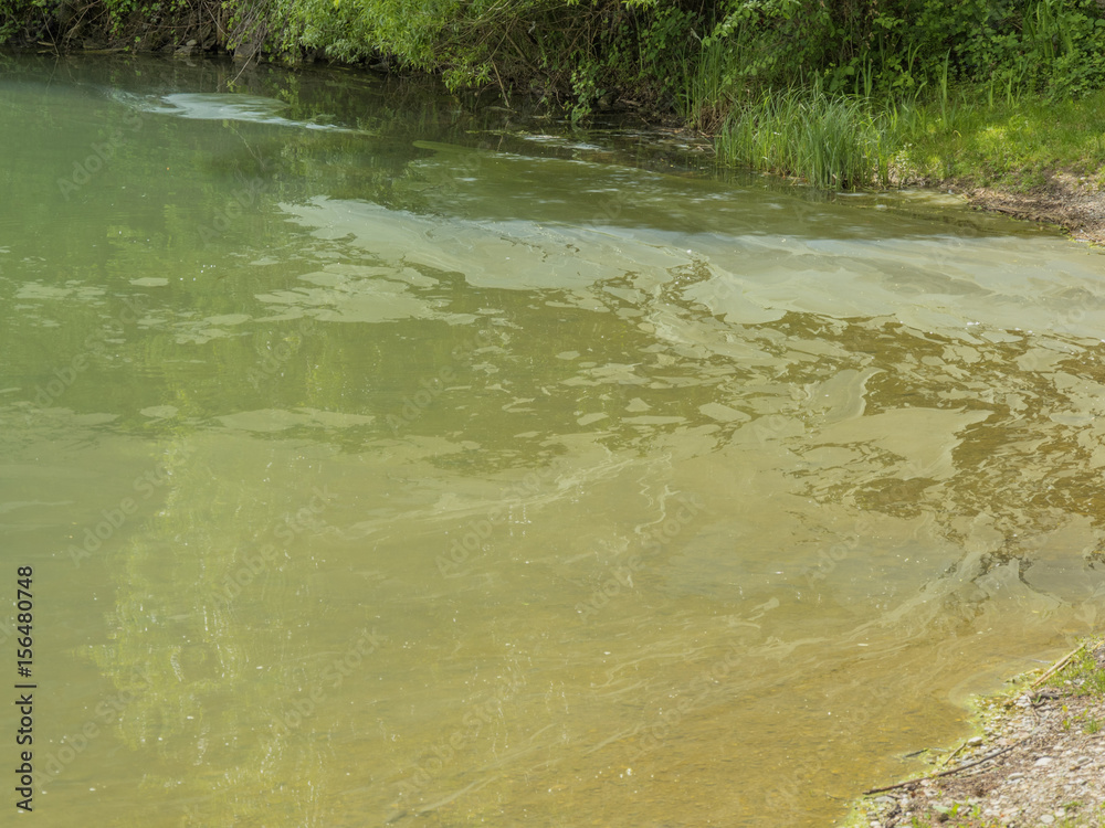 dirty green lake water dirty green lake water