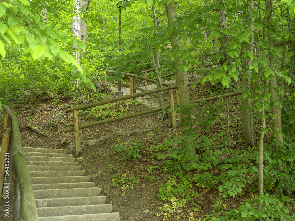forest path stairs with wooden fence