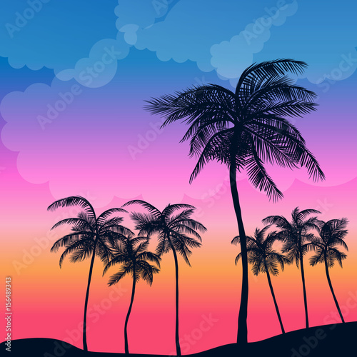 Summer Palm Sunset © evrimdoga