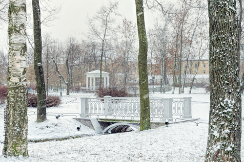 A bridge and a gazebo in the Polish Garden in winter. photo