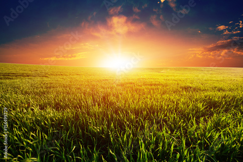 Green Field and Beautiful Sunset