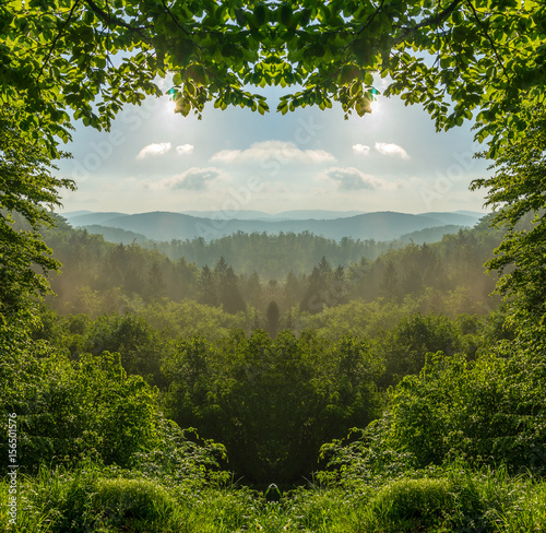Fototapeta Naklejka Na Ścianę i Meble -  Liebe zur Natur, künstlerisches Landschaftsbild in Herzform