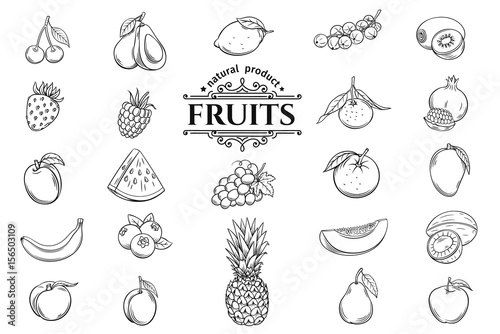 Vector hand drawn fruits icons set