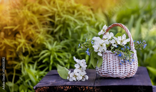 White wicker basket flowers forget-me-nots and Apple on a green natural background in Sunny day.Copy space.