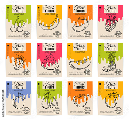 Vector hand drawn fruits posters