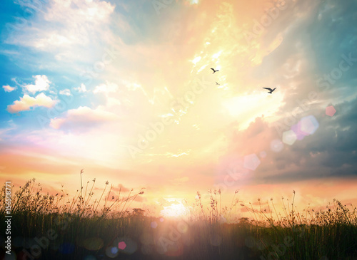Leinwand Poster Abstract meadow autumn sunrise background