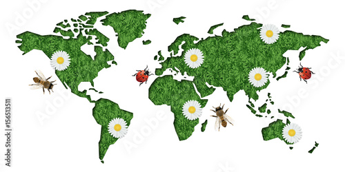 environnement - terre - carte - monde - écologie - développement durable - énergies renouvelables - réchauffement climatique