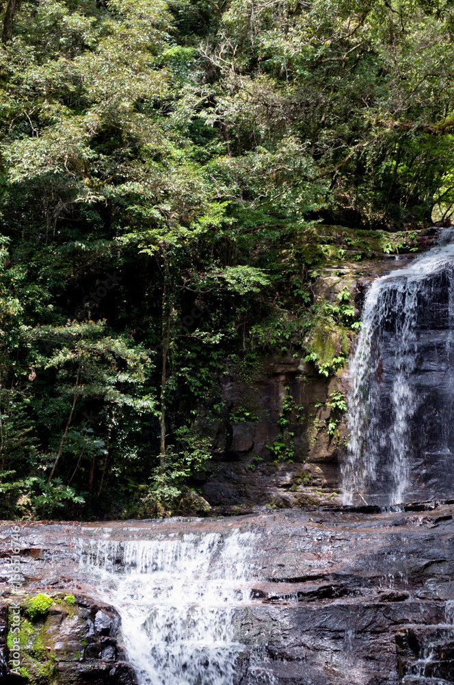 Obraz premium 滝・清流【五重の滝】