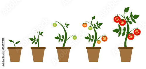 Colored Money Tree, Dependence of Financial Growth Flat Concept.