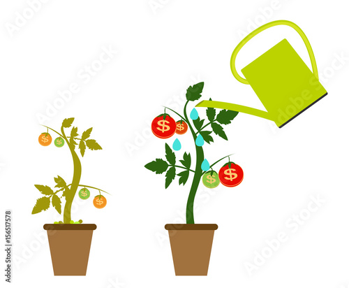Colored Money Tree, Dependence of Financial Growth Flat Concept.