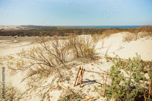 Plakat w ramie National Park Curonian Spit. Nida. Lithuania