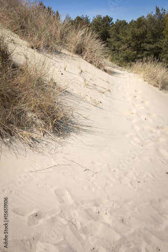 Plakat w ramie National Park Curonian Spit. Nida. Lithuania