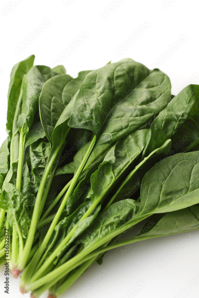 ほうれん草　Spinach