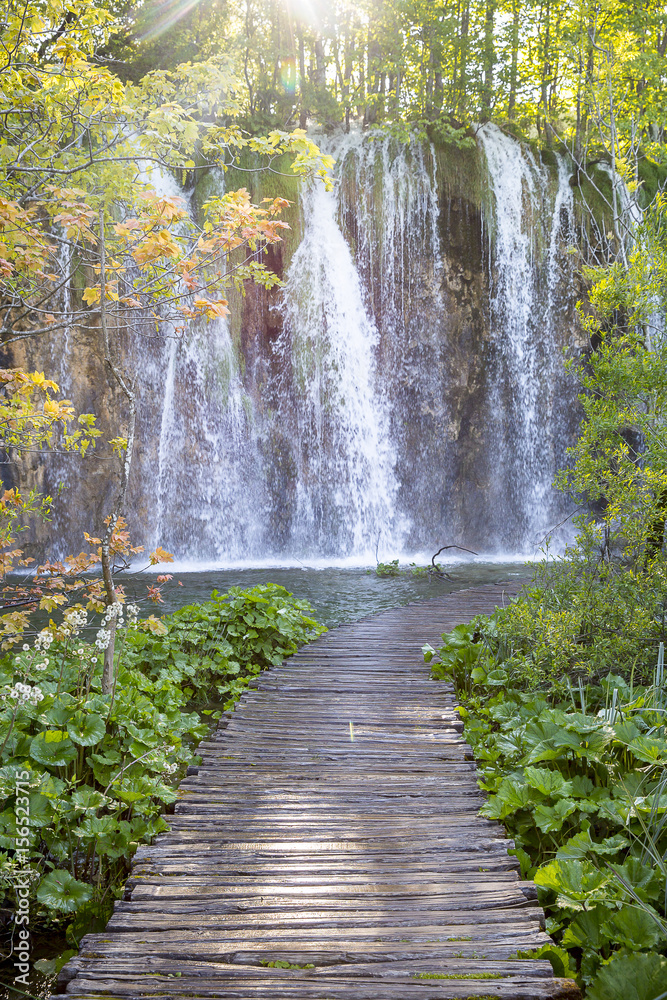 Naklejka premium waterfall at 