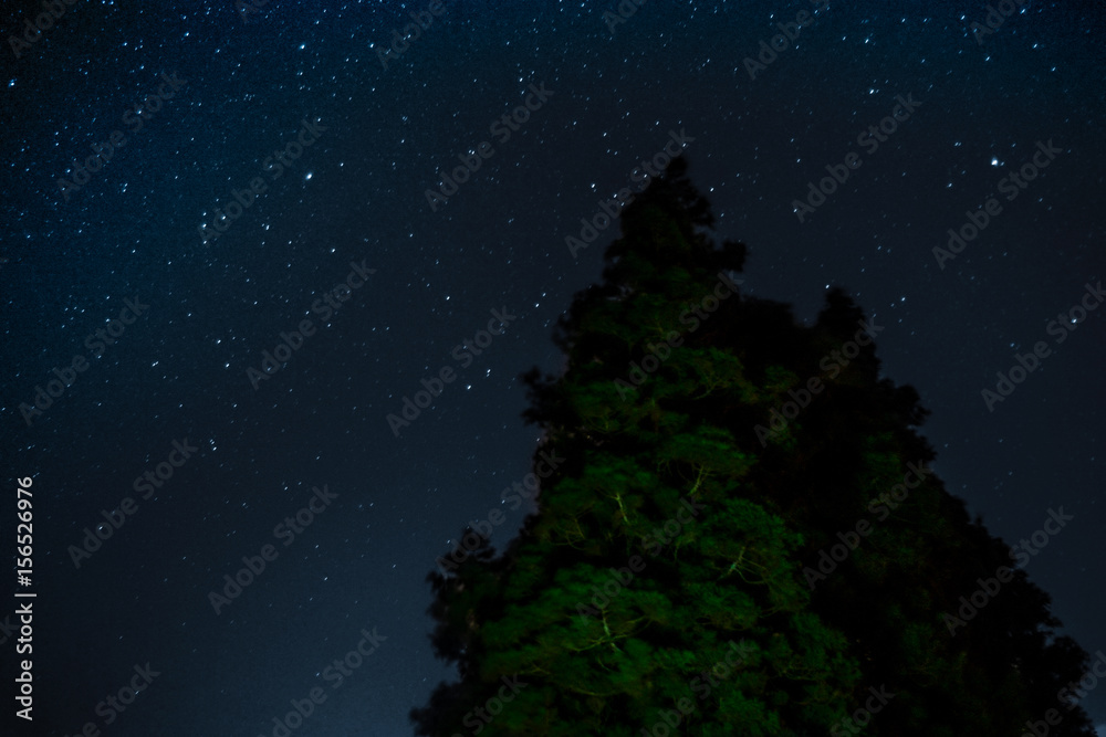 Naklejka premium Universo