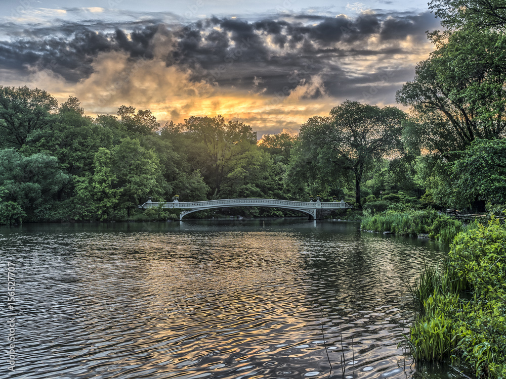 Fototapeta premium Bow bridge Central Park