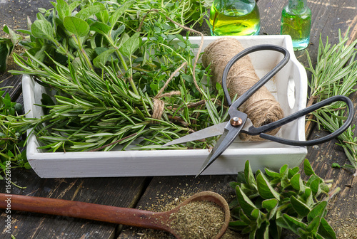 Garden fresh herbs on wooden table