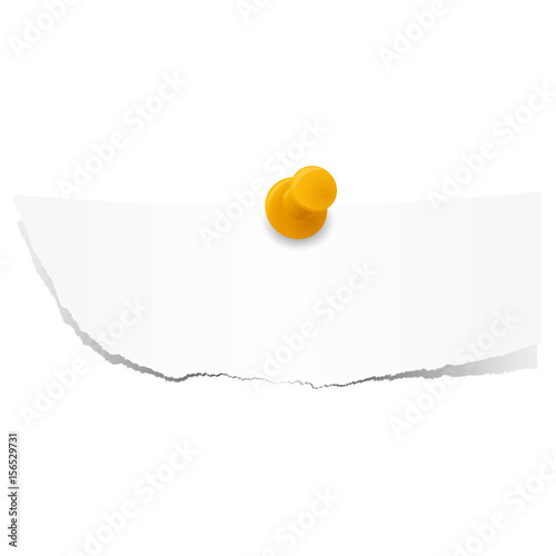 scraps of paper with pin