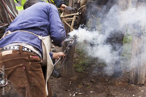 Blacksmith fitting horseshoe
