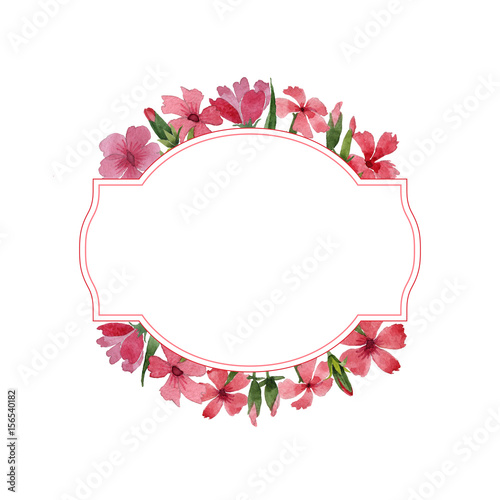 Wildflower carnation flower frame in a watercolor style isolated.