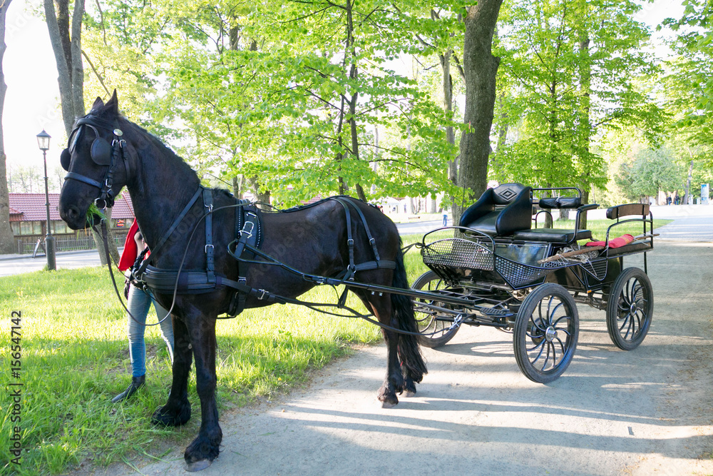 NESVIZH, BELARUS - May 20, 2017: a black carriage with a horse. Attraction for tourists. NESVIZH, BELARUS - May 20, 2017: a black carriage with a horse. Attraction for tourists.