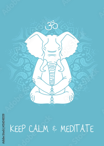 Meditative Animals series