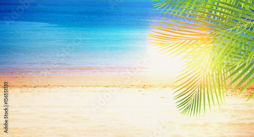 Fototapeta Naklejka Na Ścianę i Meble -  Summer beach with sea, palms and sunshine banner