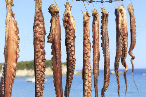 Freshly caught octopuses hanging on a string to dry, Octopuses drying under the sun, Defocused sea and sky in the background