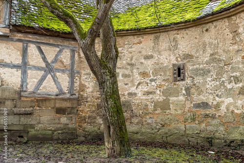 Ein einsamer Baum im Hof einer mittelalterlichen Burg
