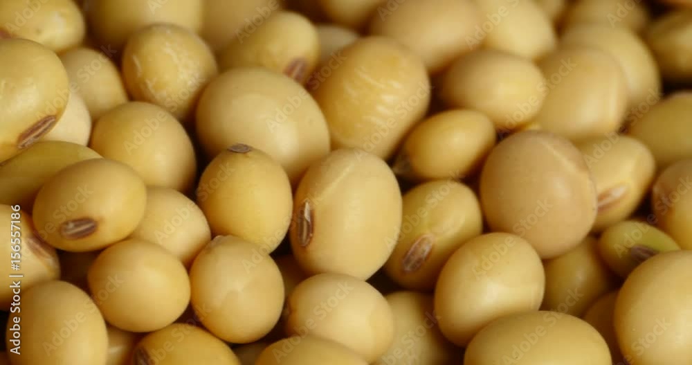 4k soybean beans closeup,seeds food raw material,delicious dishes seed bean. 4k soybean beans closeup,seeds food raw material,delicious dishes seed bean.
