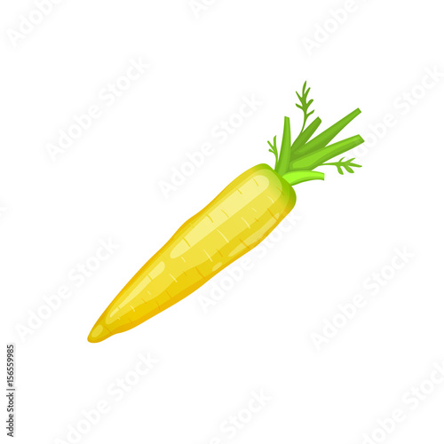 Fresh yellow carrot icon isolated on white background.
