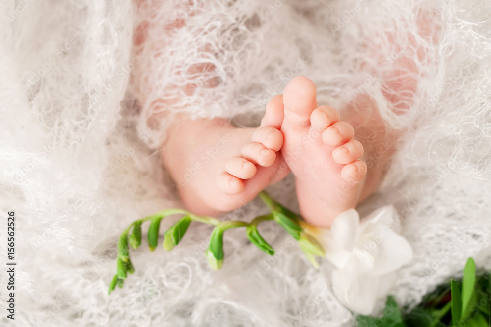 Close up picture of new born baby feet on knitted plaid and flowers Close up picture of new born baby feet on knitted plaid and flowers