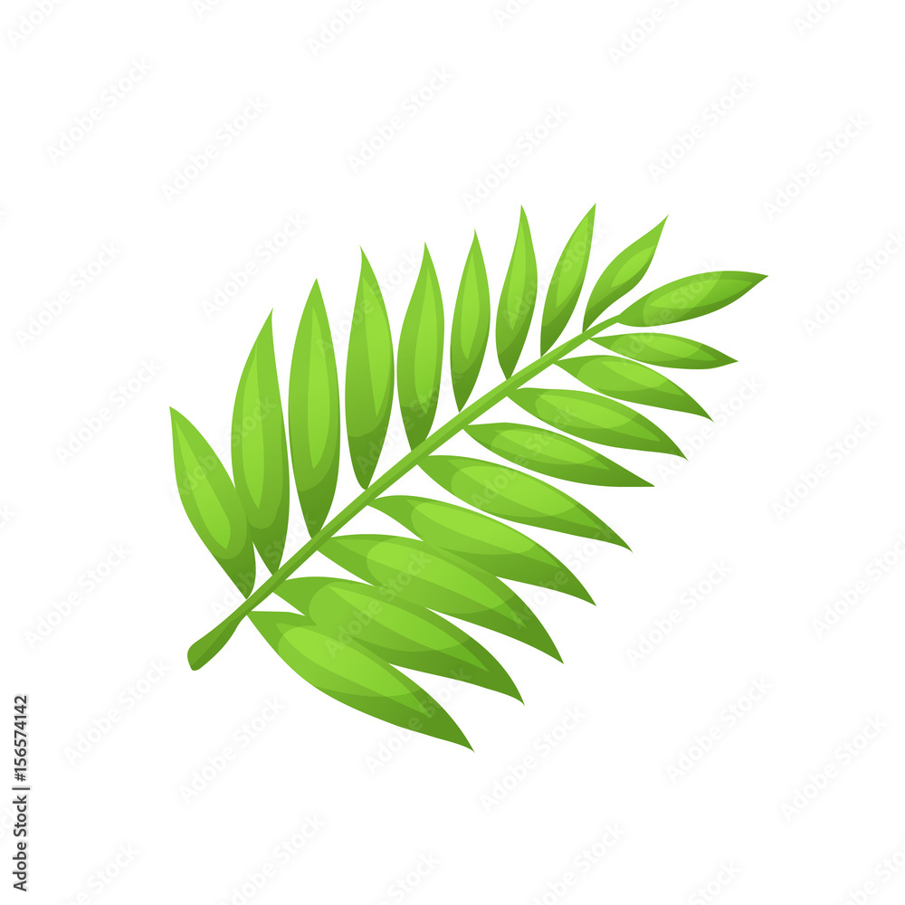 Bright cartoon palm leaf icon. Palm branch symbol isolated on white  background. Vector illustration. Stock Vector | Adobe Stock