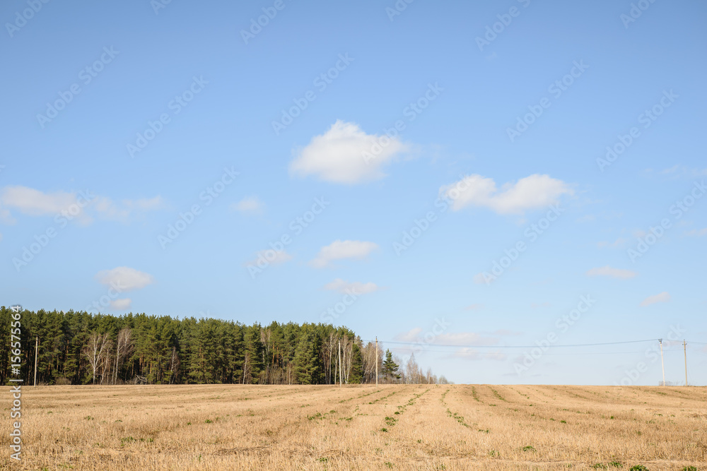 Spring field in Moscow Region, Russia