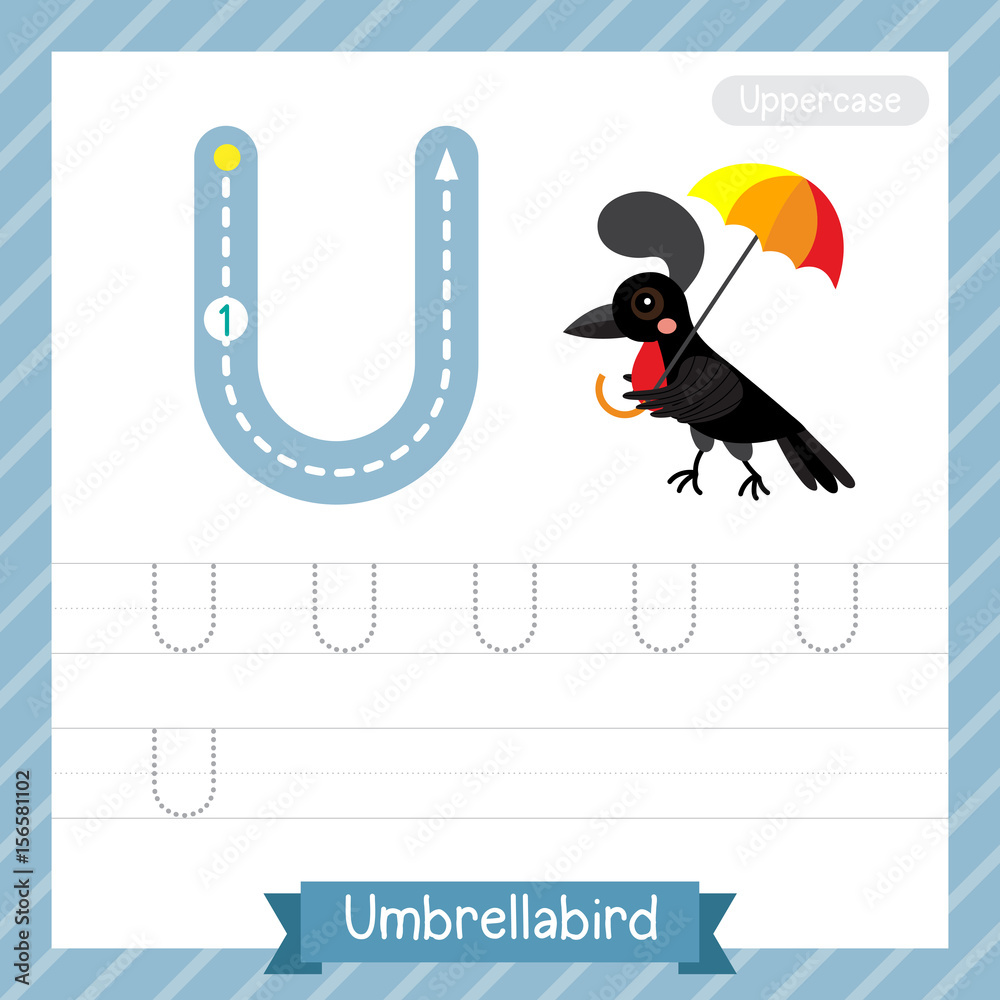 letter u uppercase tracing practice worksheet with umbrellabird for kids learning to write vector illustration stock vector adobe stock