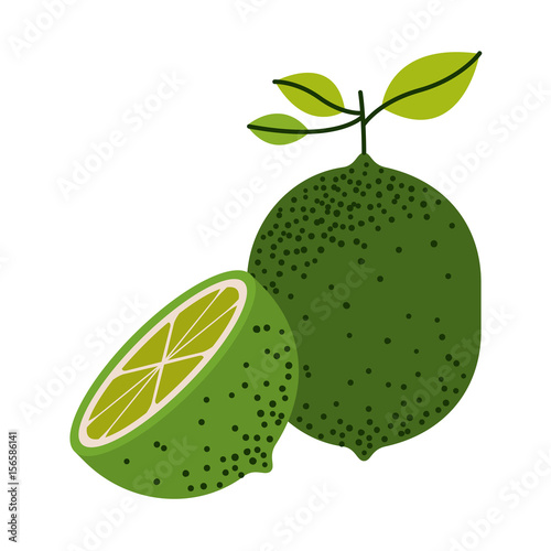 white background with one lemon fruit and half lemon cut and without contour vector illustration