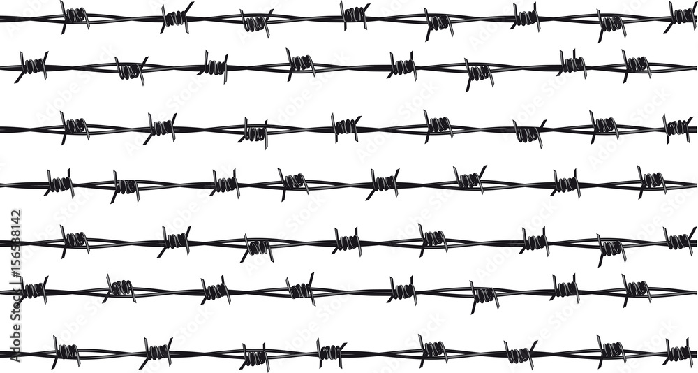 Rows of barbed wire - obrazy, fototapety, plakaty 