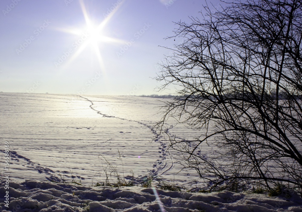 Fototapeta premium Winterlandschaft Grevenbroich