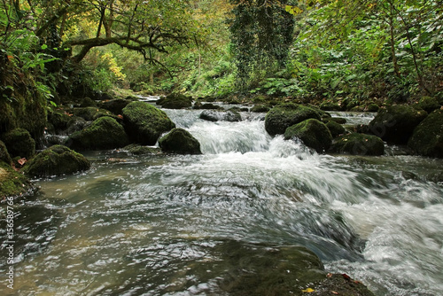 The surrounding area of the mountain river