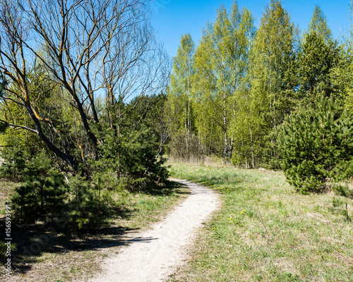 country road