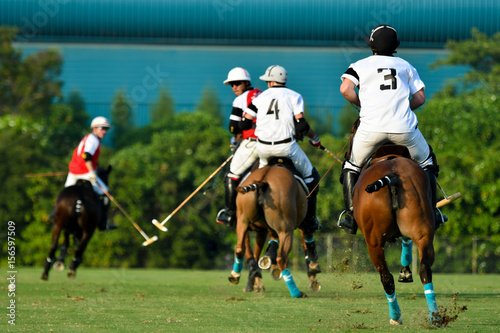 The back image of the polo player