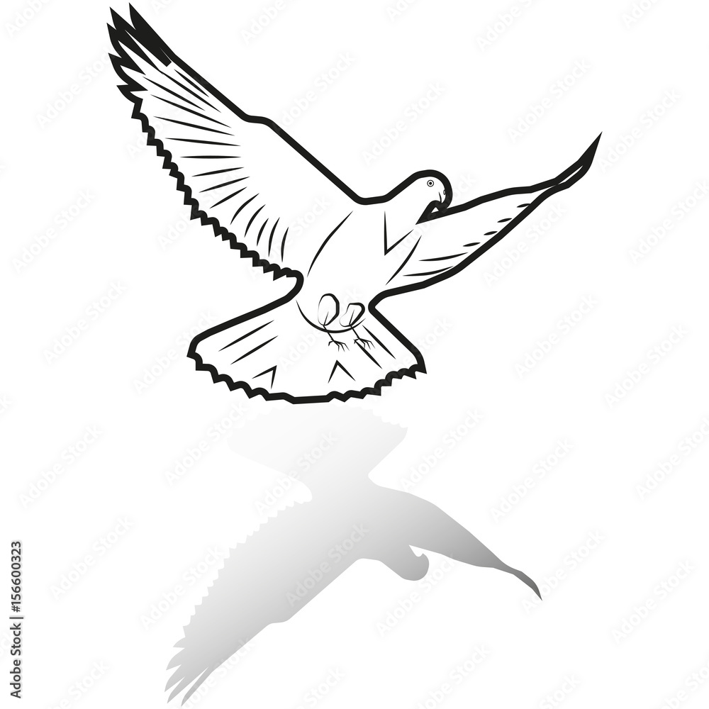 Fototapeta premium vector image of a dove flying