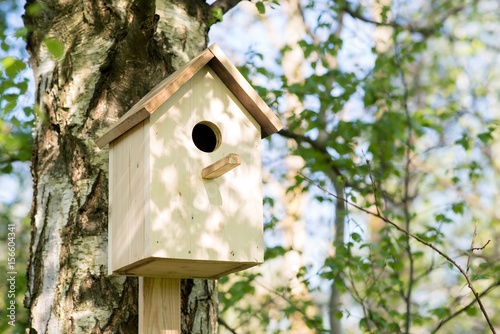 Foto Birdhouse on a birch tree, hand made