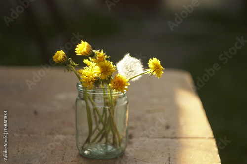 A bouquet of fluffy and yellow dandelions in the bank
