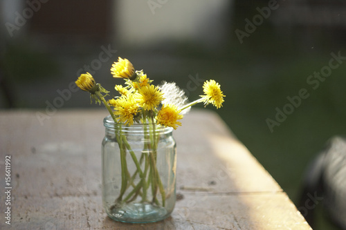 A bouquet of fluffy and yellow dandelions in the bank
